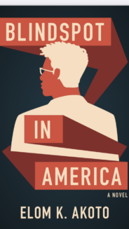 Kamao is the son of a prominent Ghanaian academic and incumbent Minister of Health and is devoted to all that America symbolizes. After immigrating to the United States in pursuit of higher education and the American Dream, he becomes unwittingly entangled with American politics when he meets Lindsey McAdams, the daughter of an influential and anti-immigration senator. As the couple’s feelings grow, so too does the senator’s animosity toward Kamao. Despite support from fellow immigrants Lazo, Ayefumi, and Dania—who follow American Dreams of their own—Kamao soon finds himself drawn into intrigues hidden from the American public that make him question himself and his adopted country. When Kamao is implicated in a murder, Lindsey’s loyalties are tested, Dania must decide if she is willing to risk her own future and security for the sake of justice, and Kamao discovers how far he’ll go to fulfill his American Dream.